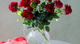 ۲۰۲۰۰۲۲۹_۰۸۰۶۴۴