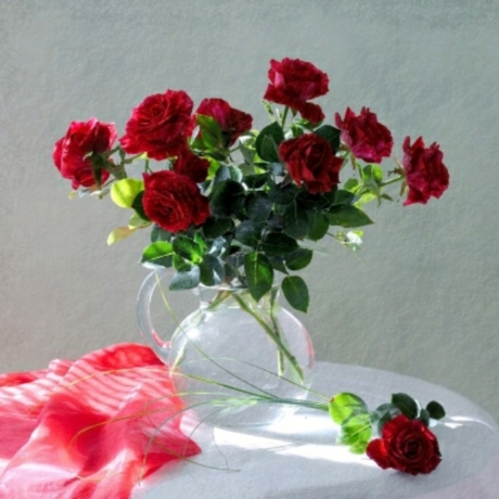 ۲۰۲۰۰۲۲۹_۰۸۰۶۴۴