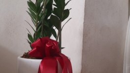 ۲۰۲۲۱۲۲۷_۱۳۱۹۱۵