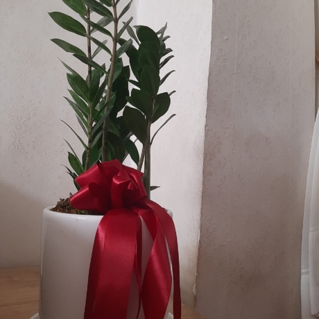 ۲۰۲۲۱۲۲۷_۱۳۱۹۱۵