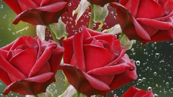 fane_mehmani+CQ0SHILhhmA+2608789734289738569